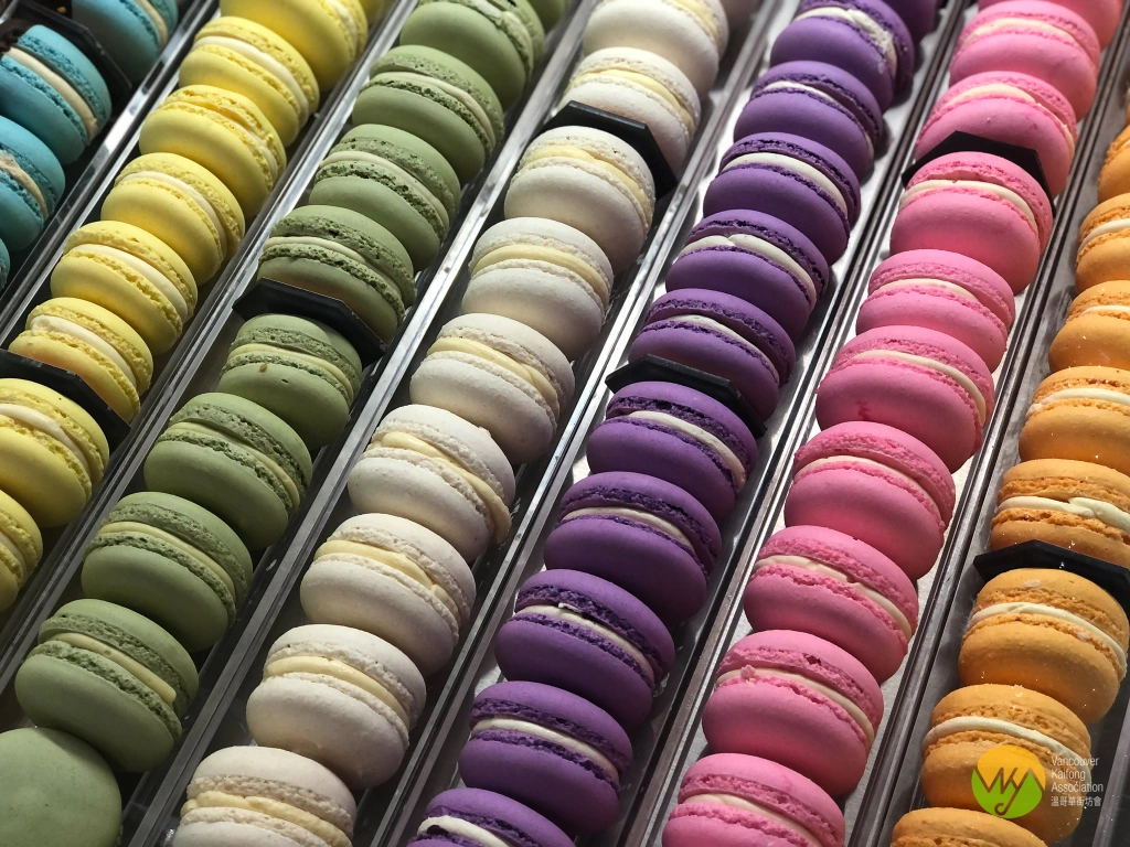 不只是黑森林蛋糕